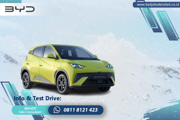 BYD ATTO 1